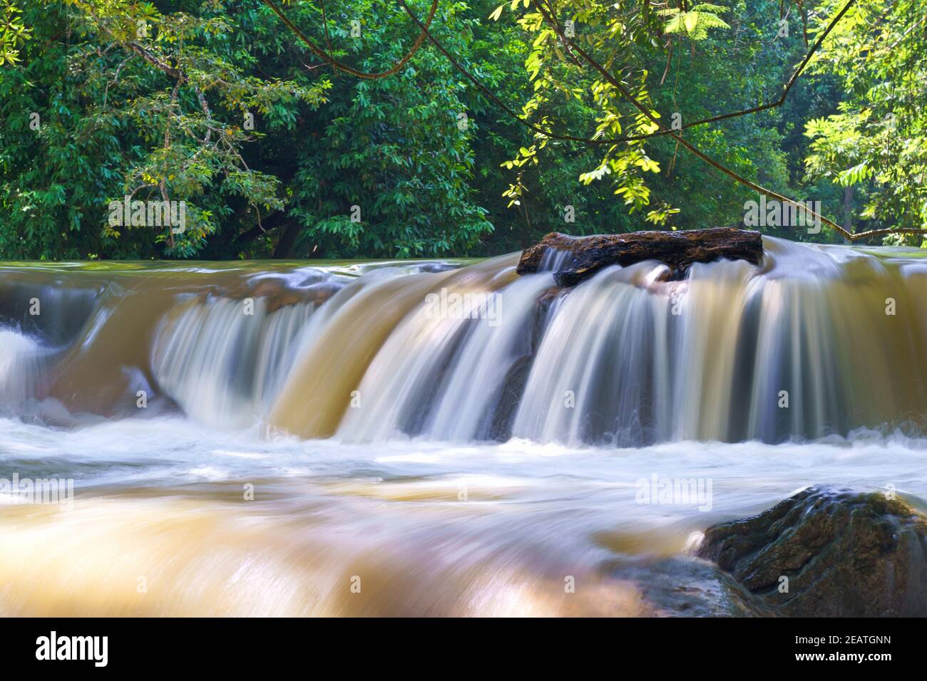 Water falls in tropical rainforest with rock and tree Stock Photo Alamy