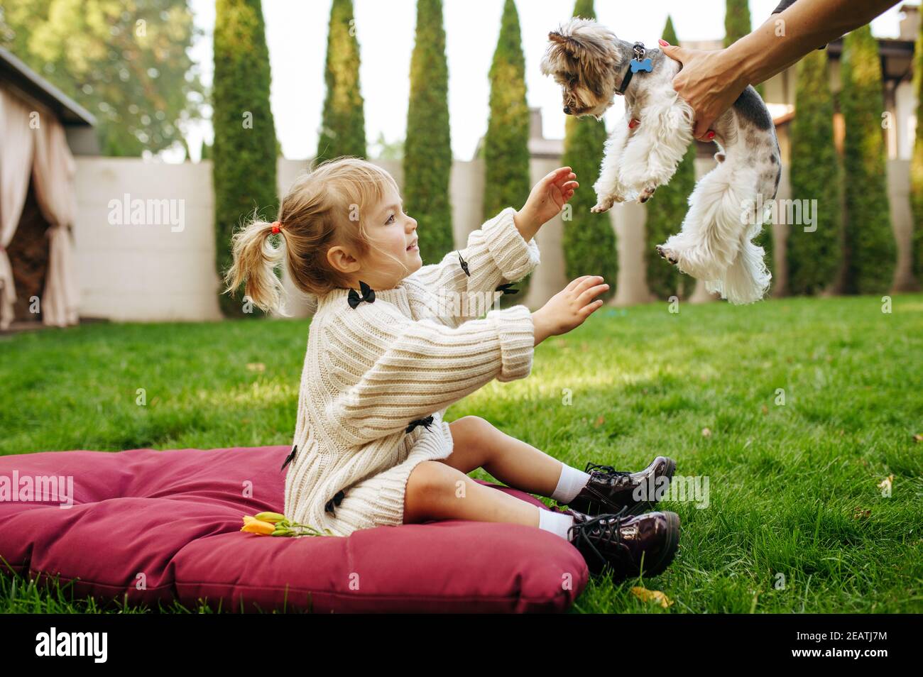 Kid takes in hands funny dog in the garden Stock Photo