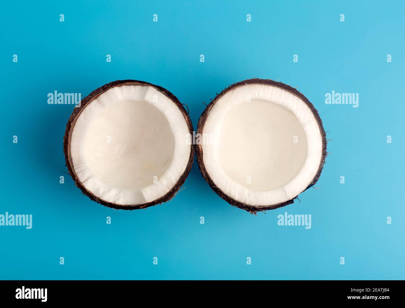 Coconuts on a blue isolate background. Coconut minimal concept. Stock Photo