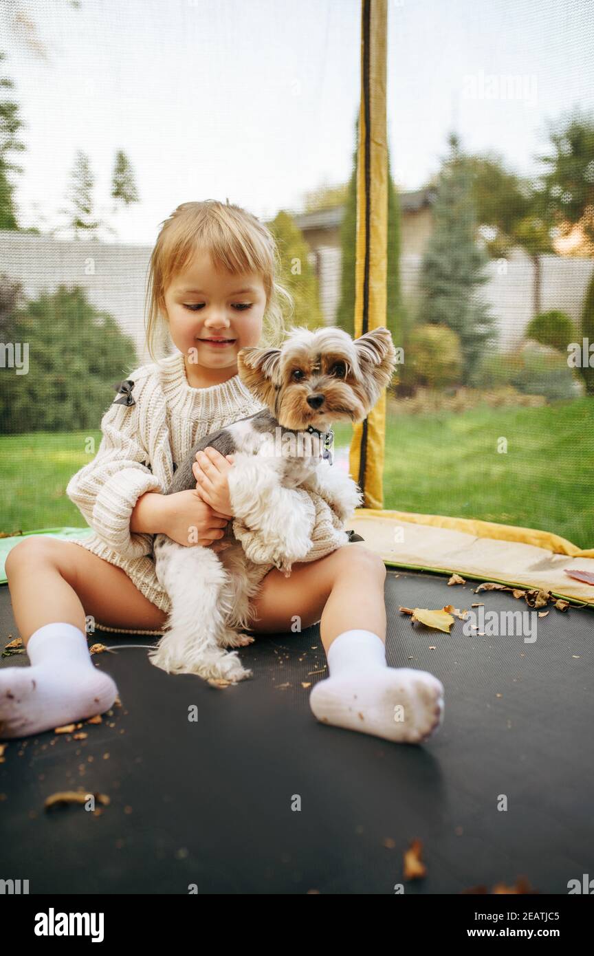 Kid play with funny dog on trampoline in garden Stock Photo Alamy
