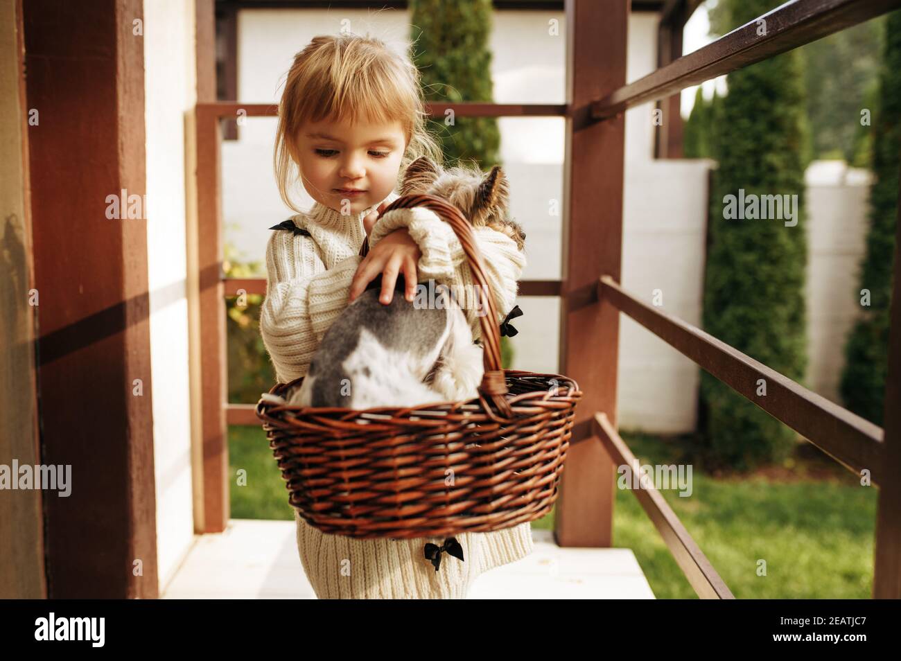 Kid with dog in basket are sitting on the stairs Stock Photo