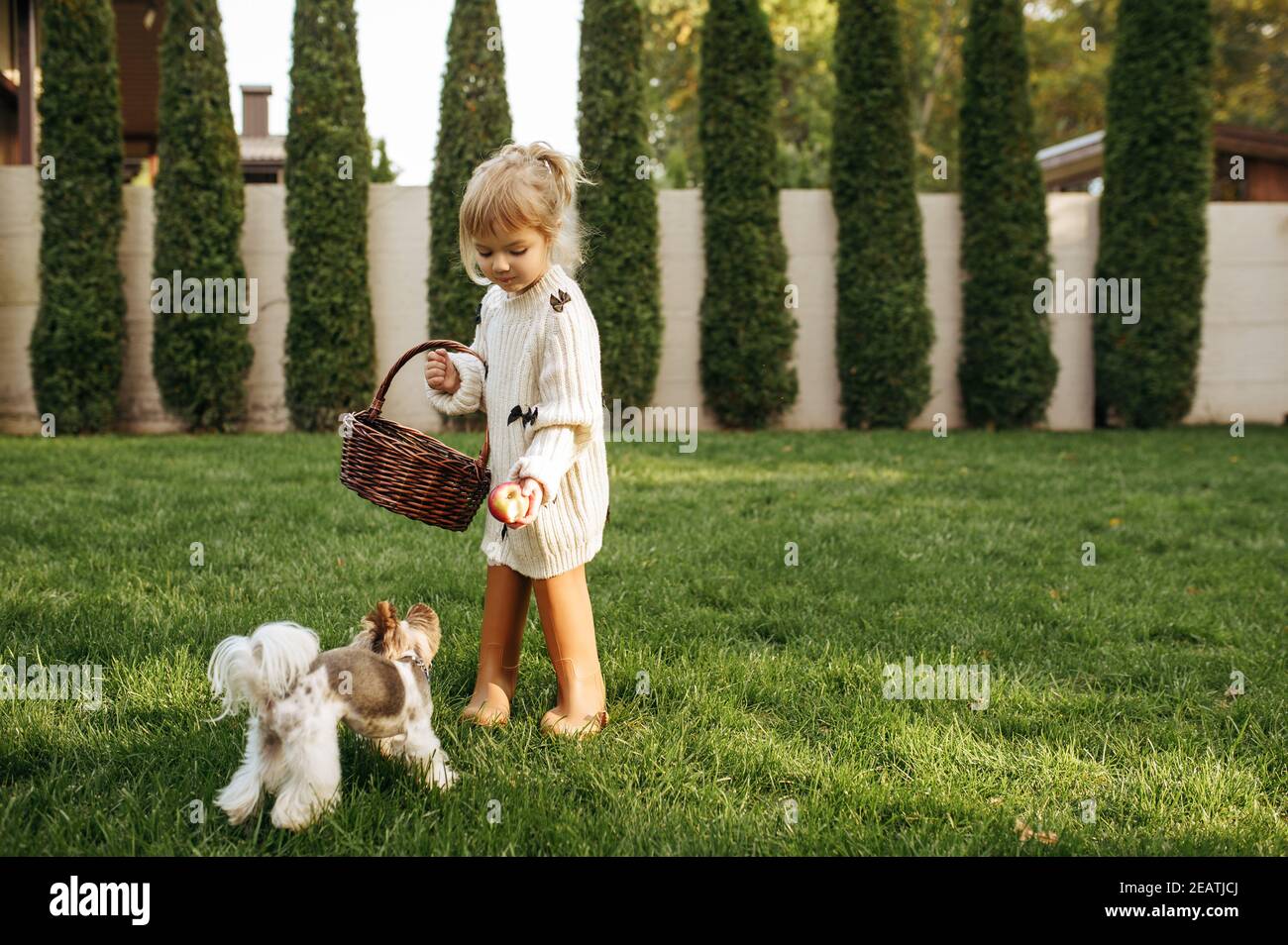 Kid with basket play with funny dog in the garden Stock Photo