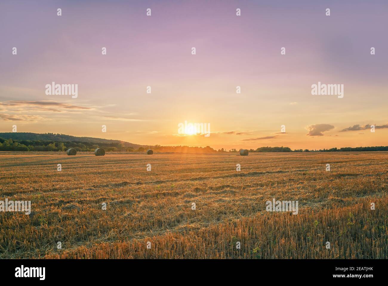 a-summer-hay-field-after-harvest-and-large-bales-of-hay-on-a-warm