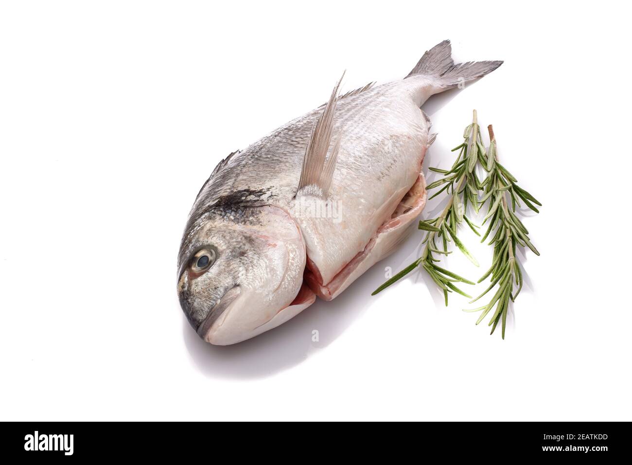 Raw gilthead fish with rosemary white isolated Stock Photo