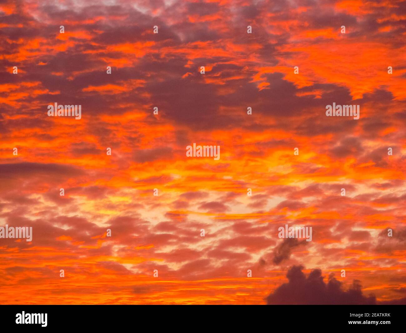 Borneo jungle sunset hi-res stock photography and images - Alamy