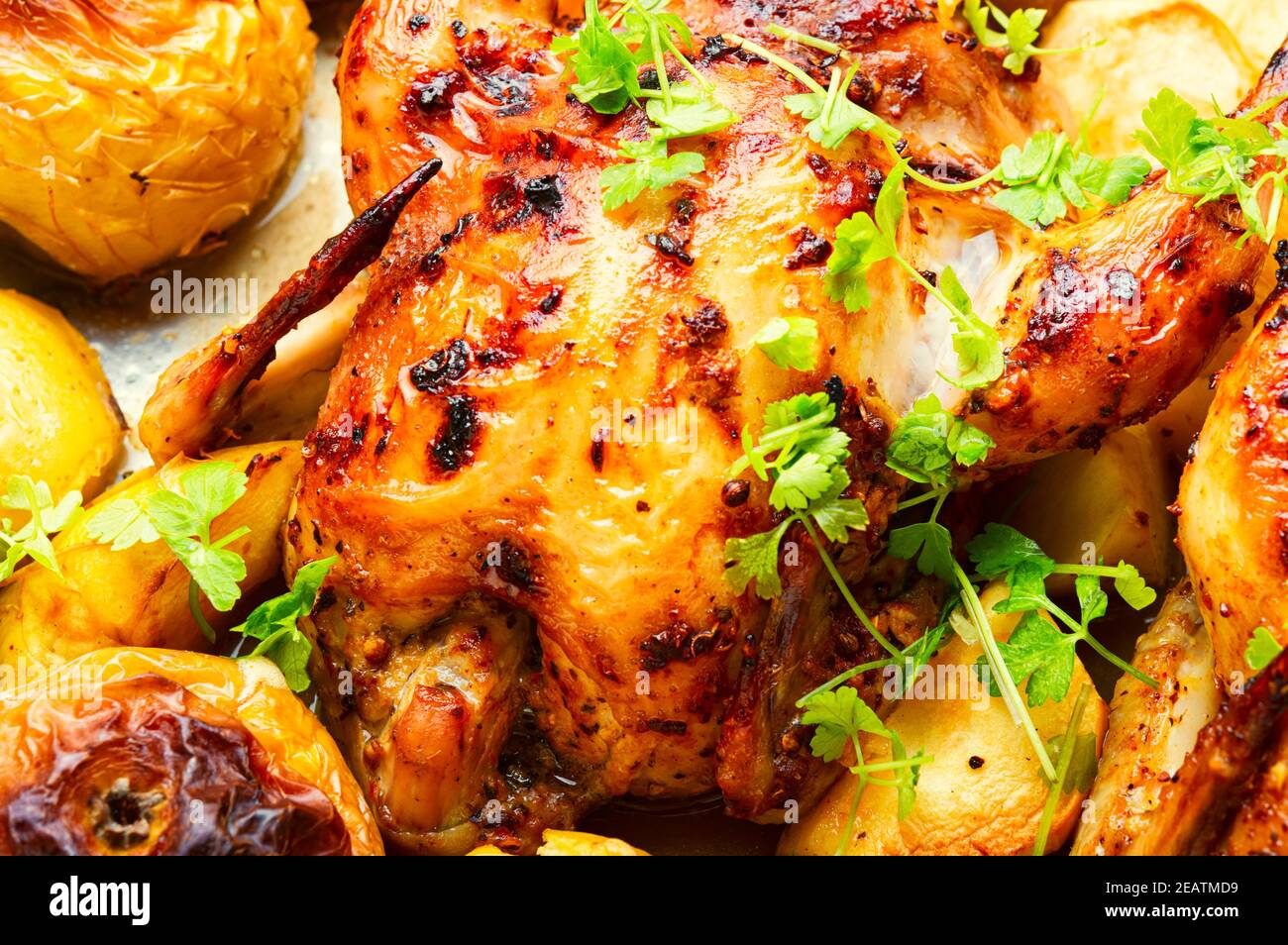Roasted chicken with apples Stock Photo