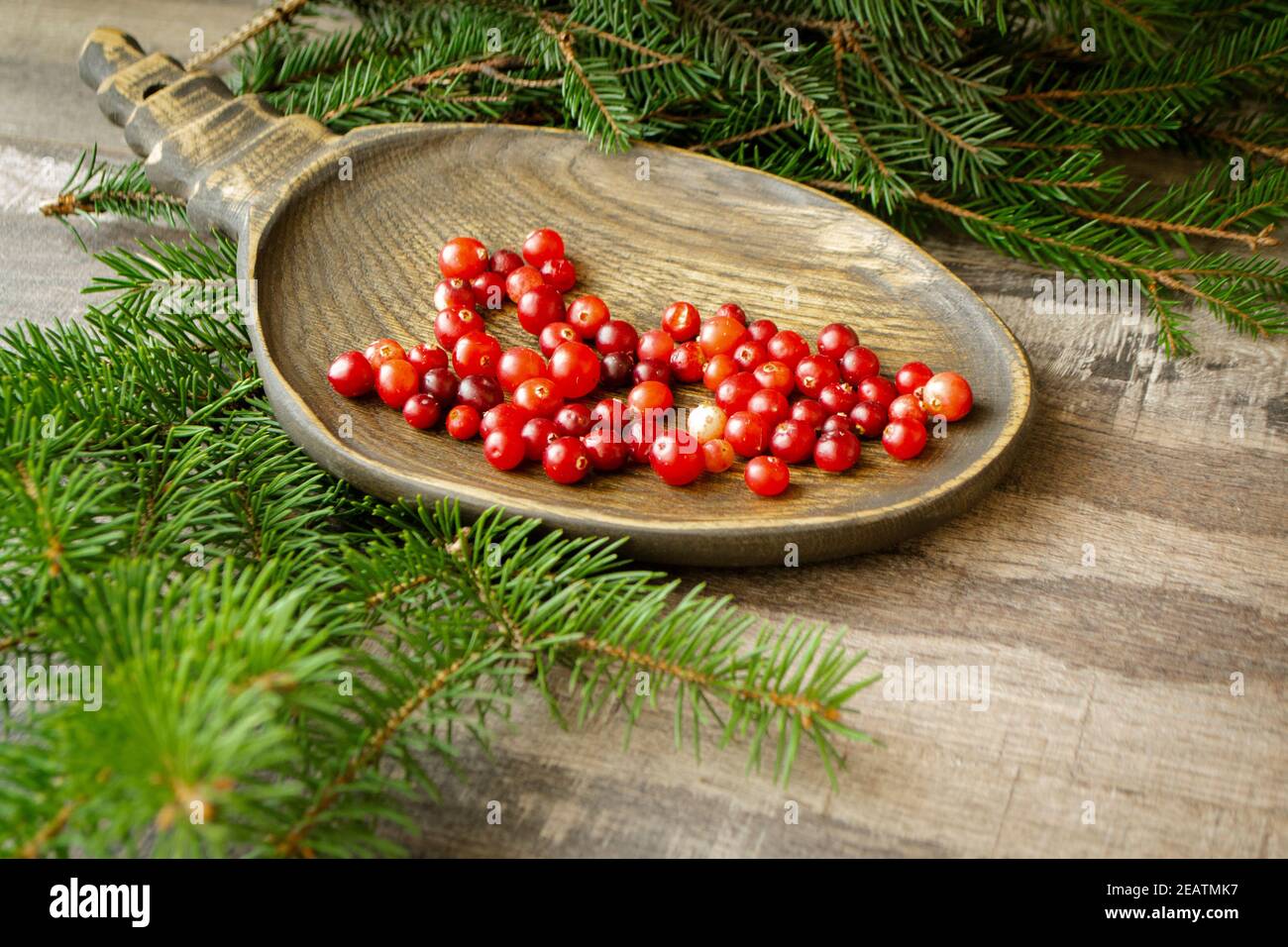 Ripe fresh cowberry lingonberry, partridgeberry, foxberry from belarusian forest in wooden bowl on rustic vintage table Stock Photo