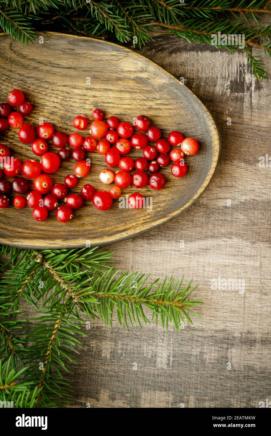 Plate of fresh cranberry on wooden table, red berries also called cowberry or lingonberry top view Stock Photo