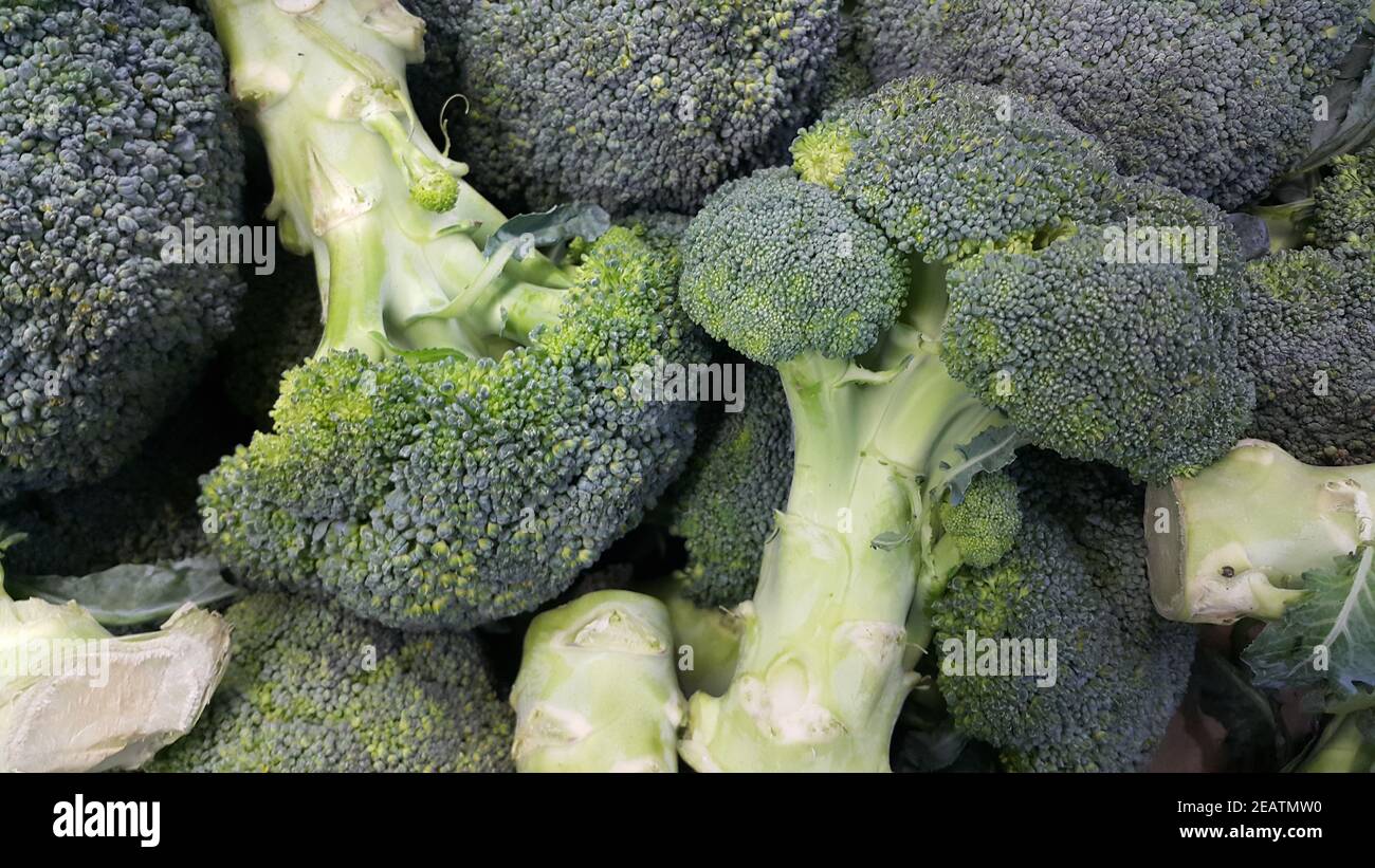 Green fresh broccoli pile placed in market for sale. Stock Photo