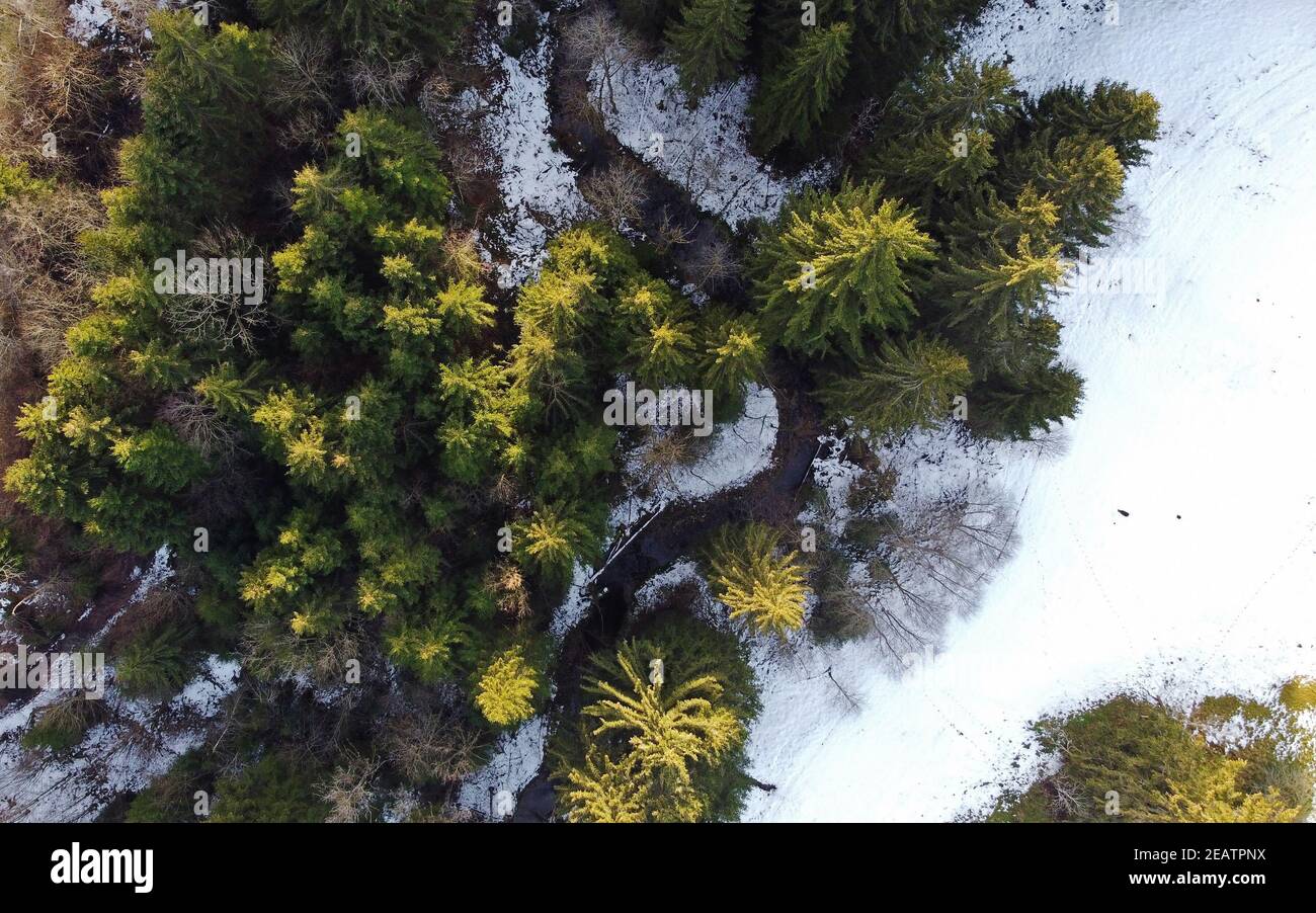Drone photo of forest with stream in winter with light and shadow Stock Photo