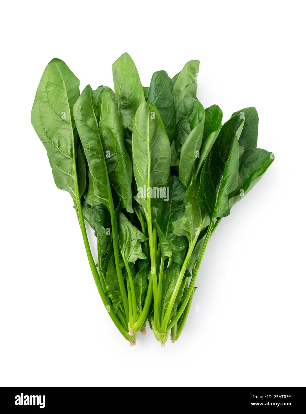 Spinach on a white background Stock Photo