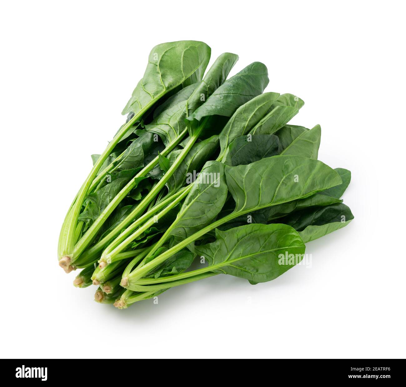 Spinach on a white background Stock Photo