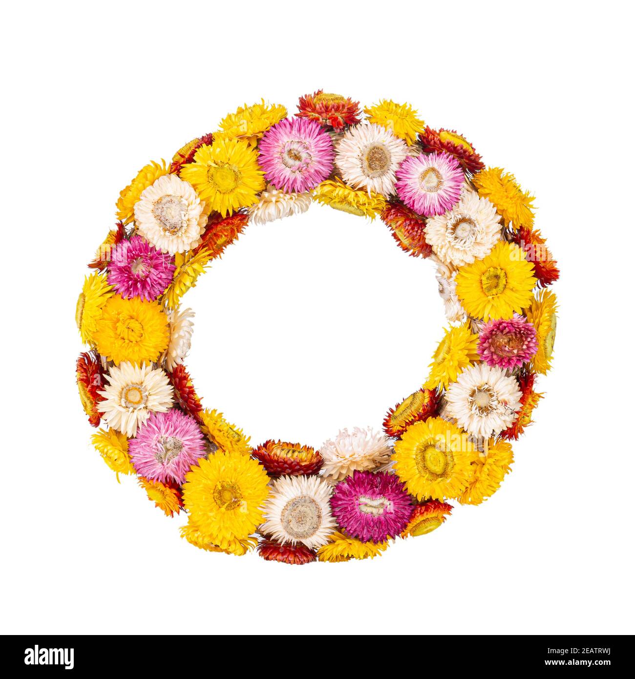 Colourful wreath of straw flower Stock Photo