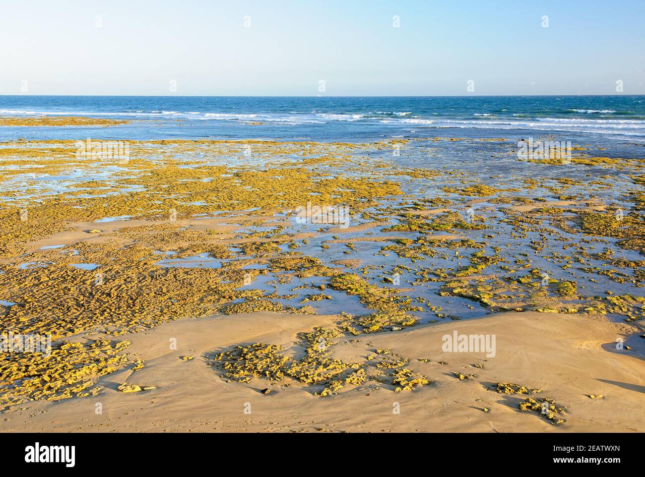 Low tide Torquay Stock Photo Alamy