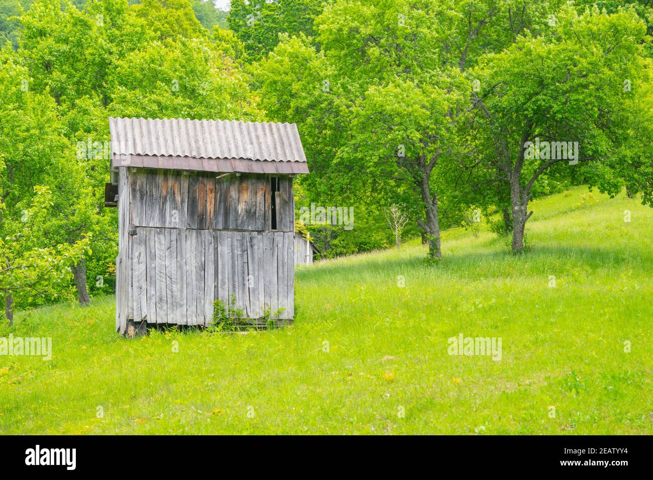 View the old large wooden house which was abandoned in the grass and ...