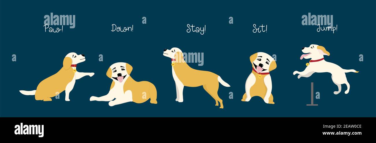 The dogs will follow the commands. Training of dogs and puppies. Trendy illustration for animal trainers Stock Photo