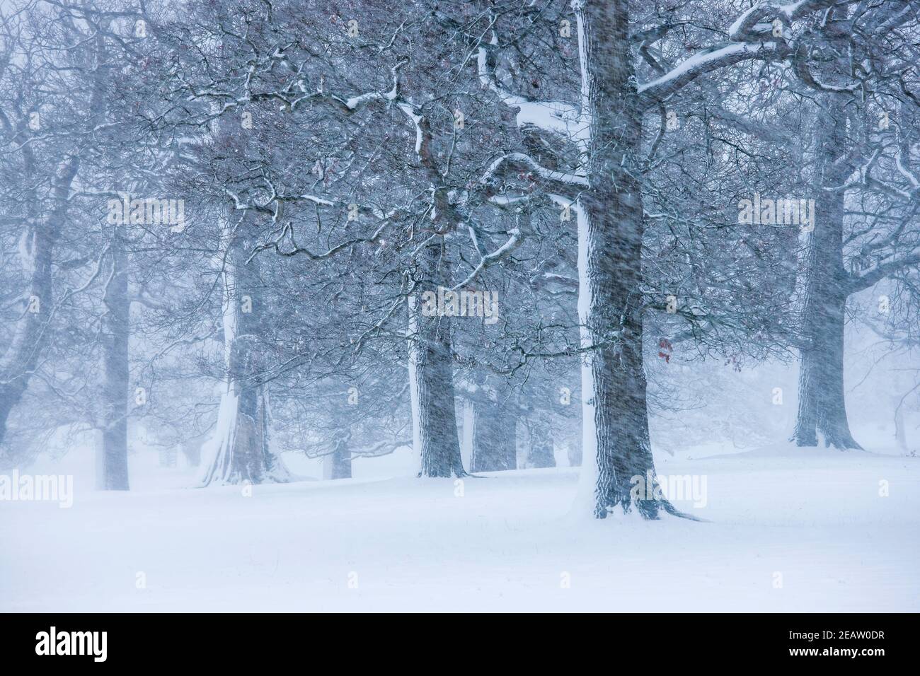 Snowy english countryside bright winter hi-res stock photography and ...