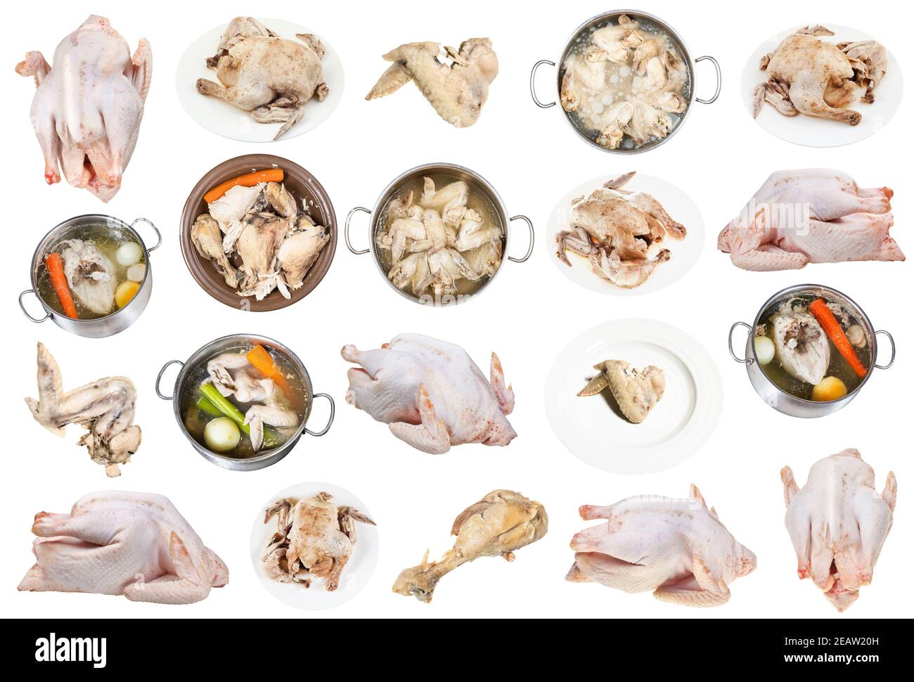 collection of raw and boiled chicken meat isolated Stock Photo
