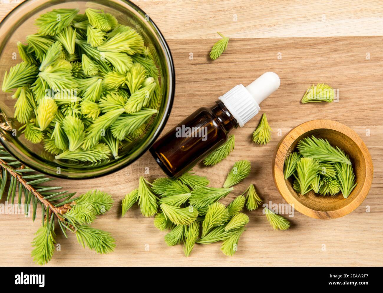 Small glass pipette bottle with spruce tree shoot oil tincture concept, fresh green spruce needle shoots tips on wooden background in bowl. Studio. Stock Photo