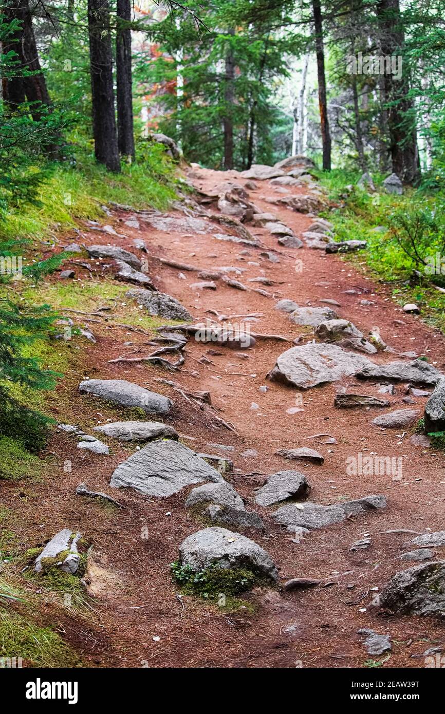 Uphill rocky road hi-res stock photography and images - Alamy
