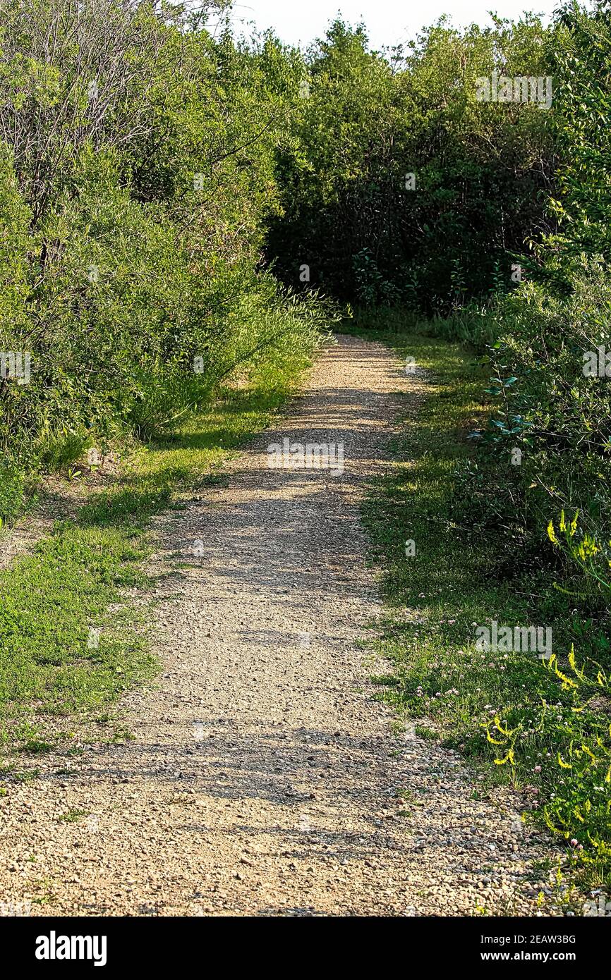 Gravel path footpath hi-res stock photography and images - Alamy