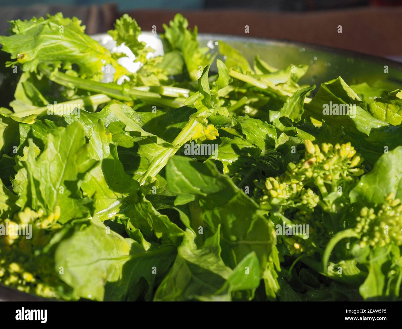turnip greens leaves Stock Photo Alamy