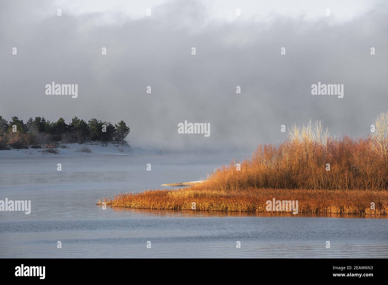 Winter frosty fog on an unfrozen river. Green Christmas trees and grass on the banks. Stock Photo