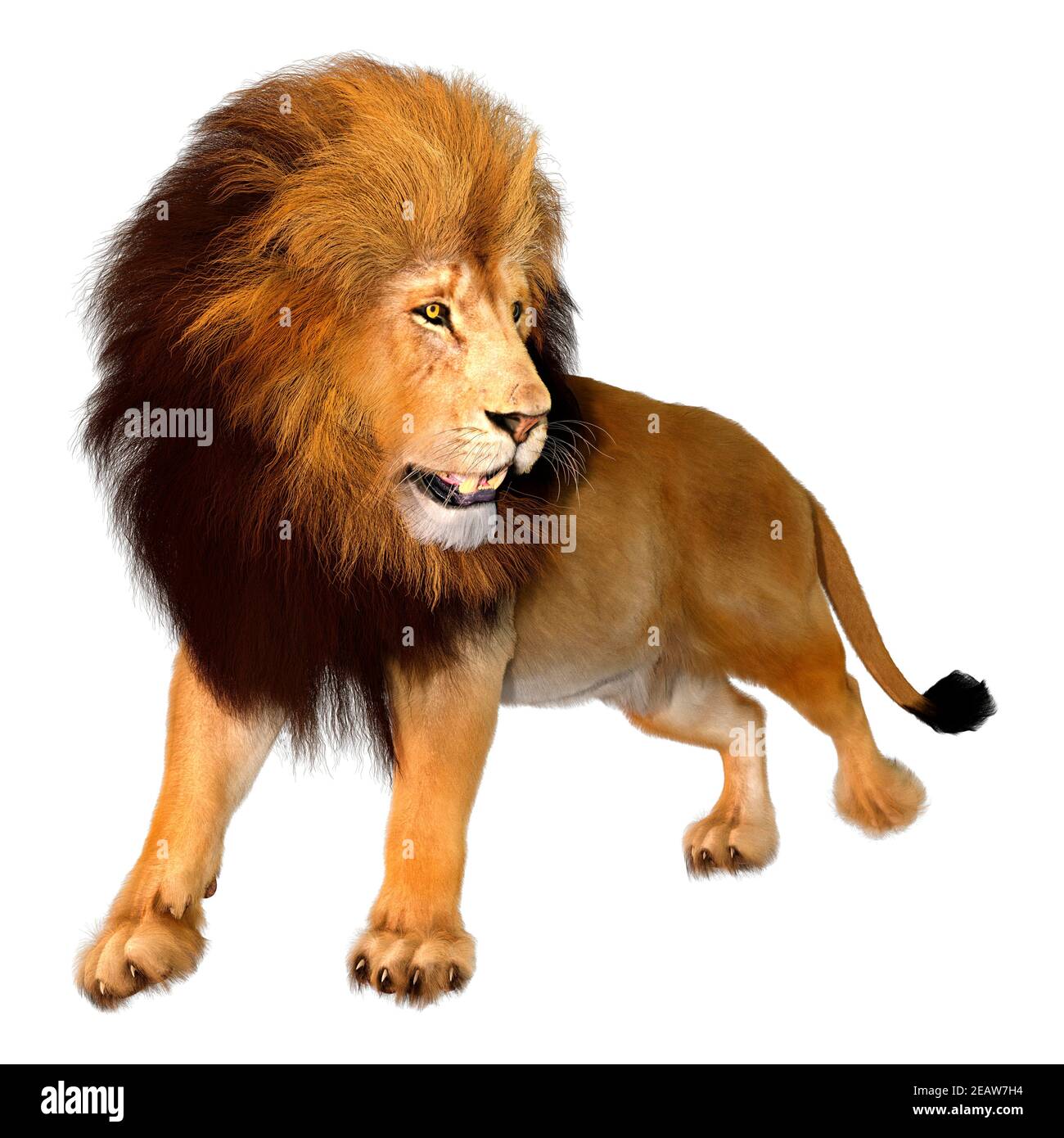 3D Rendering Male Lion on White Stock Photo