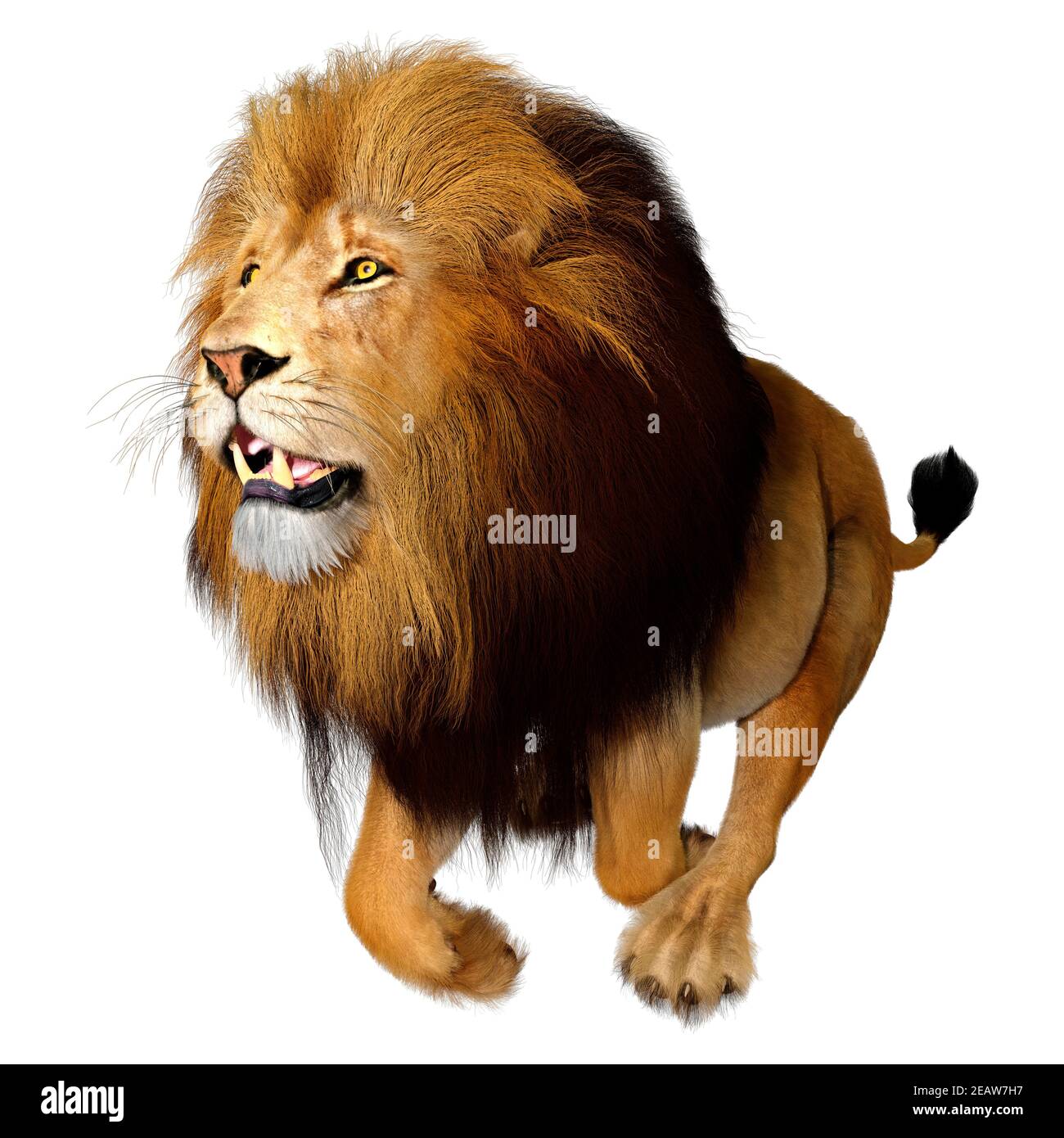 3D Rendering Male Lion on White Stock Photo