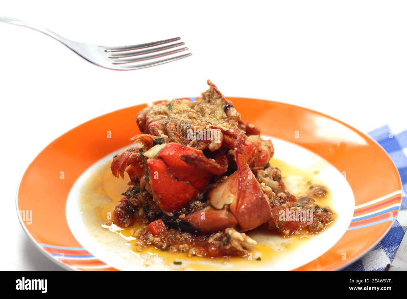 dish with shellfish ragout and lobster pieces Stock Photo