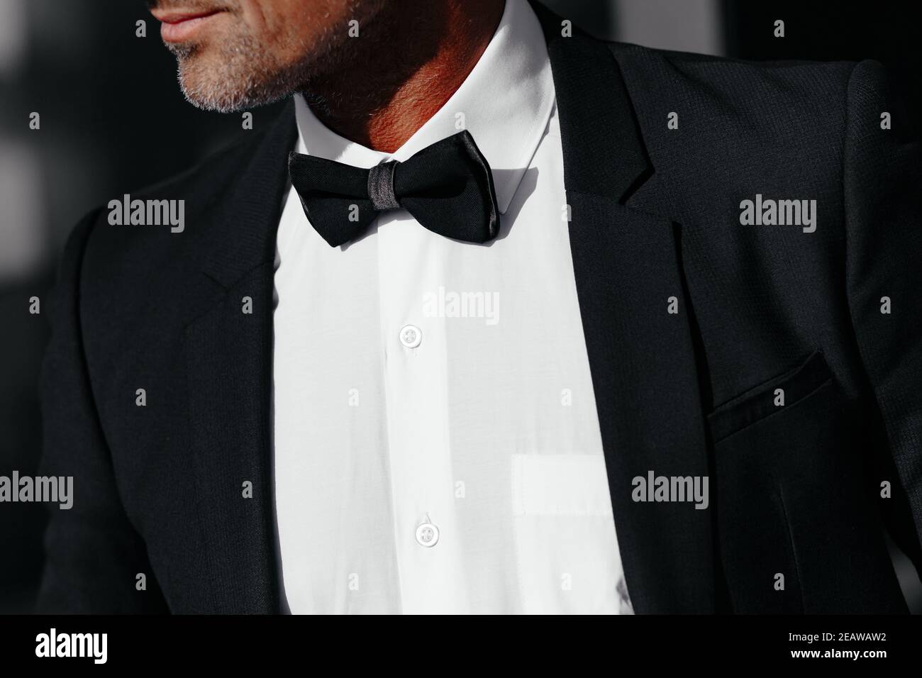 Classic Gentleman Tee with Bowtie