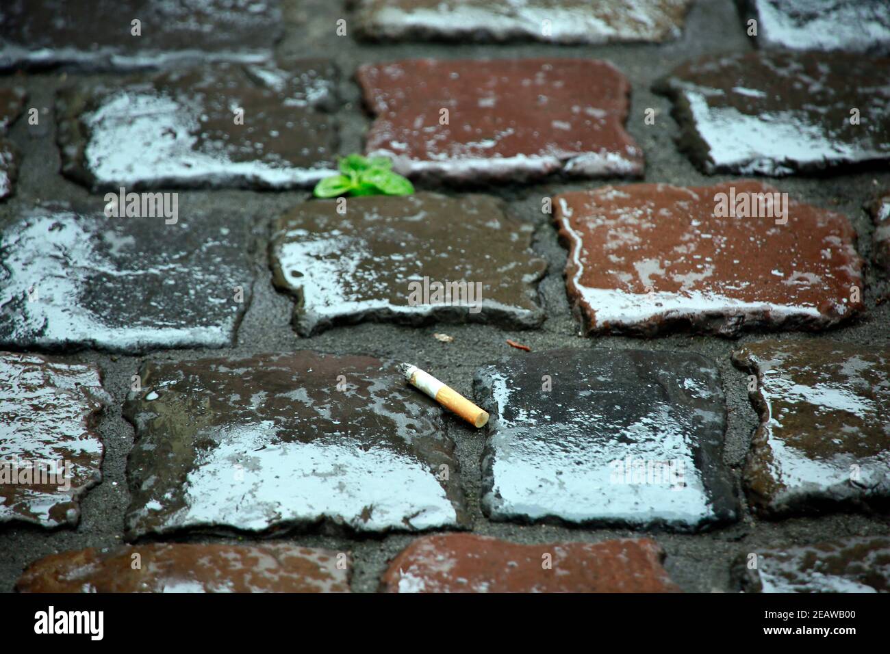 Zigarettenstummel mit Filter auf regennassem Kopfsteinpflaster Stock Photo