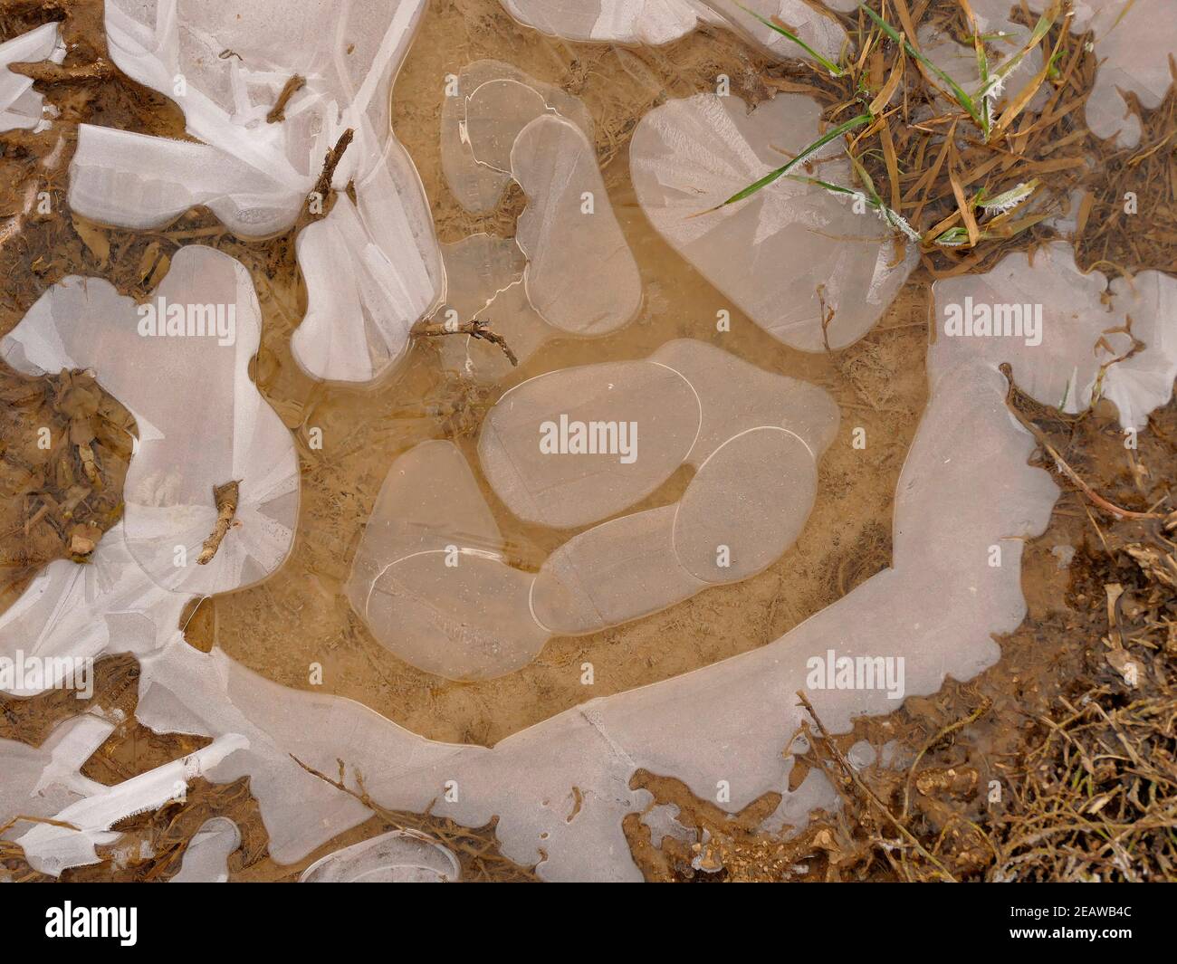 small puddle with ice Stock Photo