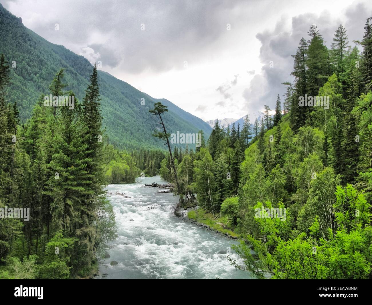 Nature Is Altai Mountain Landscape Forests And Reservoirs Of Altai   Nature Is Altai Mountain Landscape Forests And Reservoirs Of Altai 2EAWBNM 