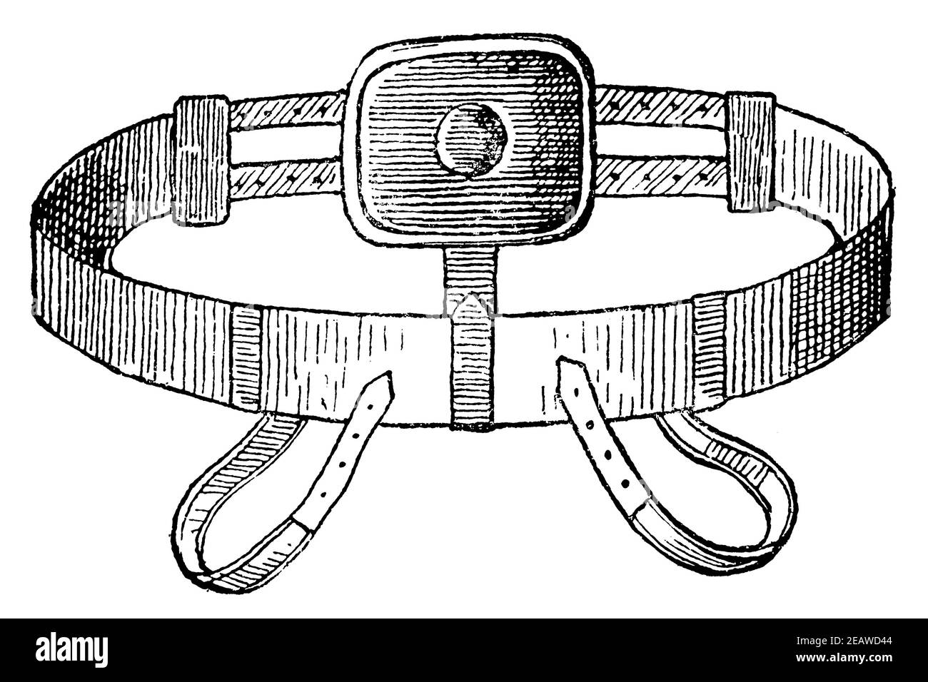 dog hernia belt