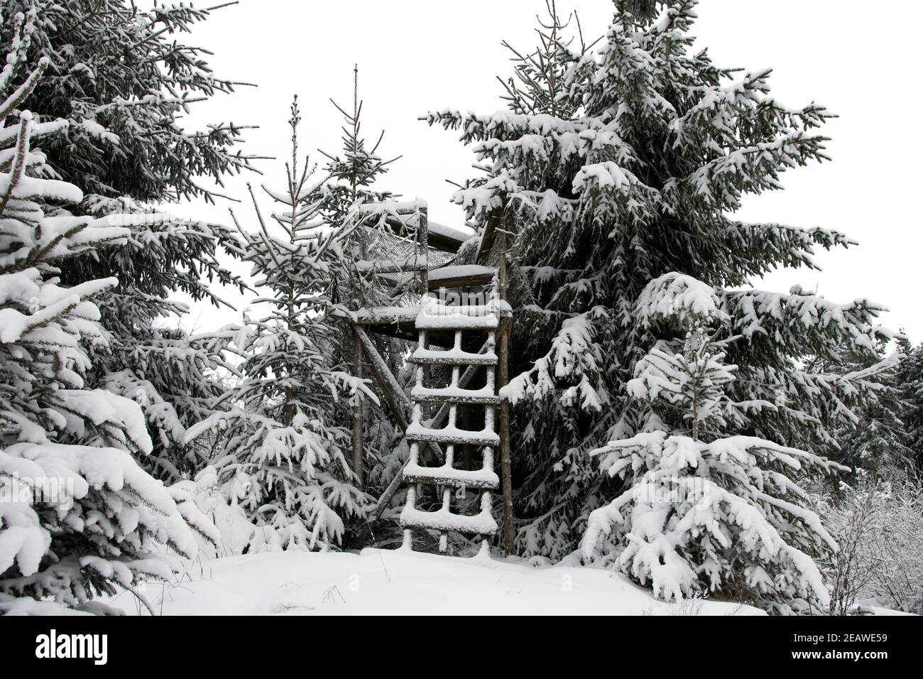 snowy high stand in the winter forest Stock Photo