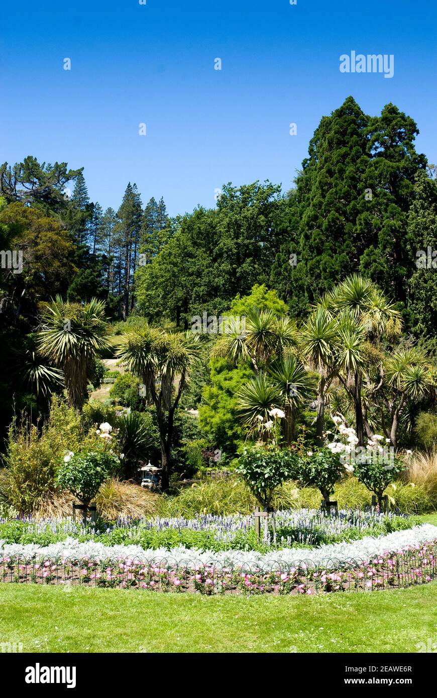 Dunedin Botanic Garden , South Island, New Zealand. Stock Photo