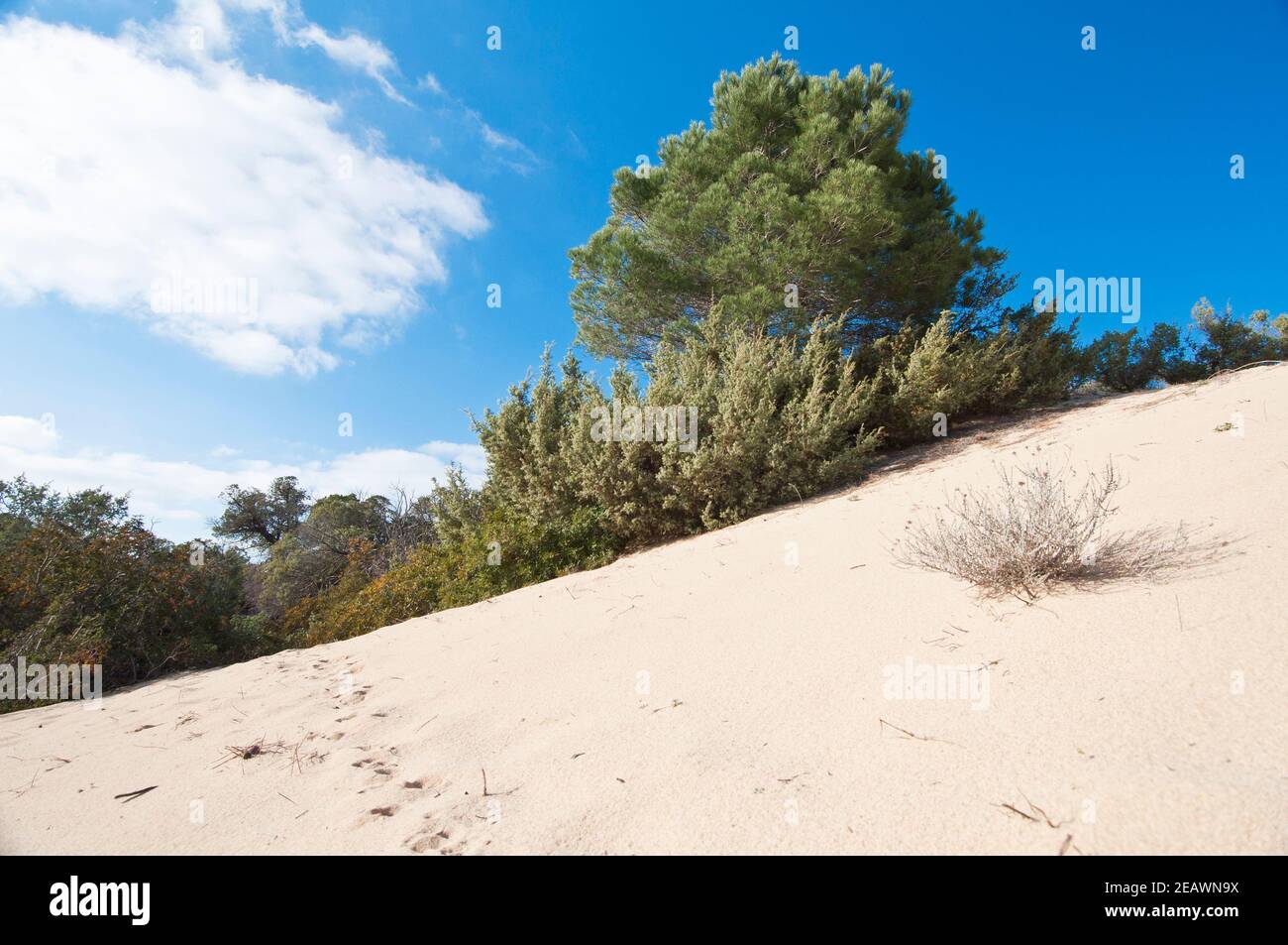piscinas del comune di arbus