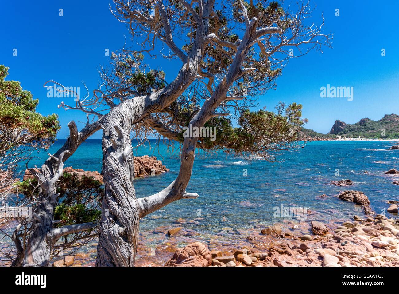 Red rocks, crystal clear water and centuries-old junipers on the beach of Su Sirboni, Sardinia Stock Photo