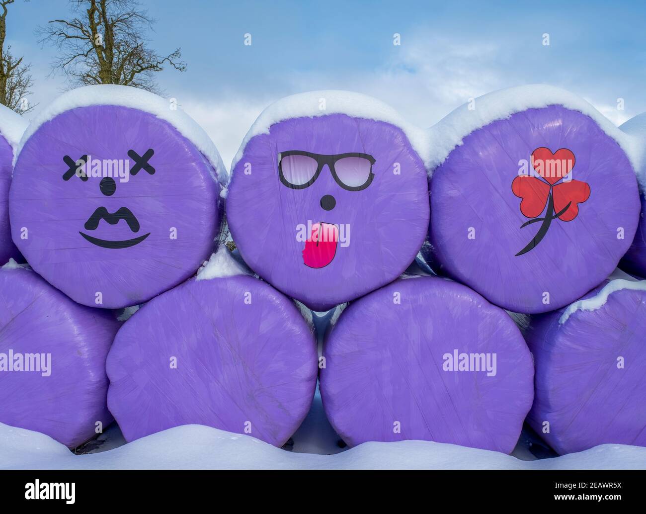 Funny faces on silage bales stored in a field near, Livingston, West Lothian. Stock Photo
