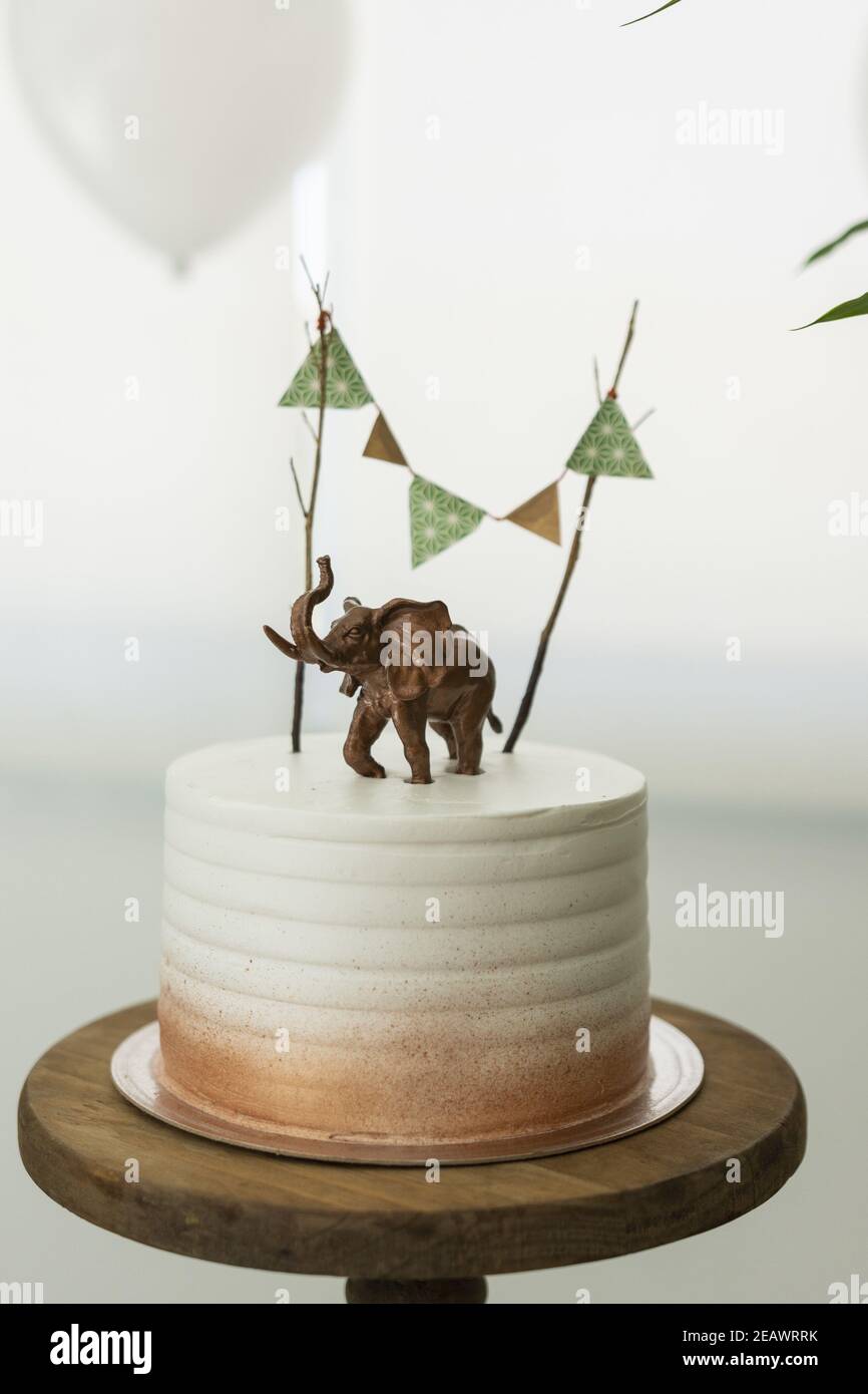 Page 2 Elephant With Cake High Resolution Stock Photography And Images Alamy Page 2 Elephant With Cake High Resolution Stock Photography And Images Alamy