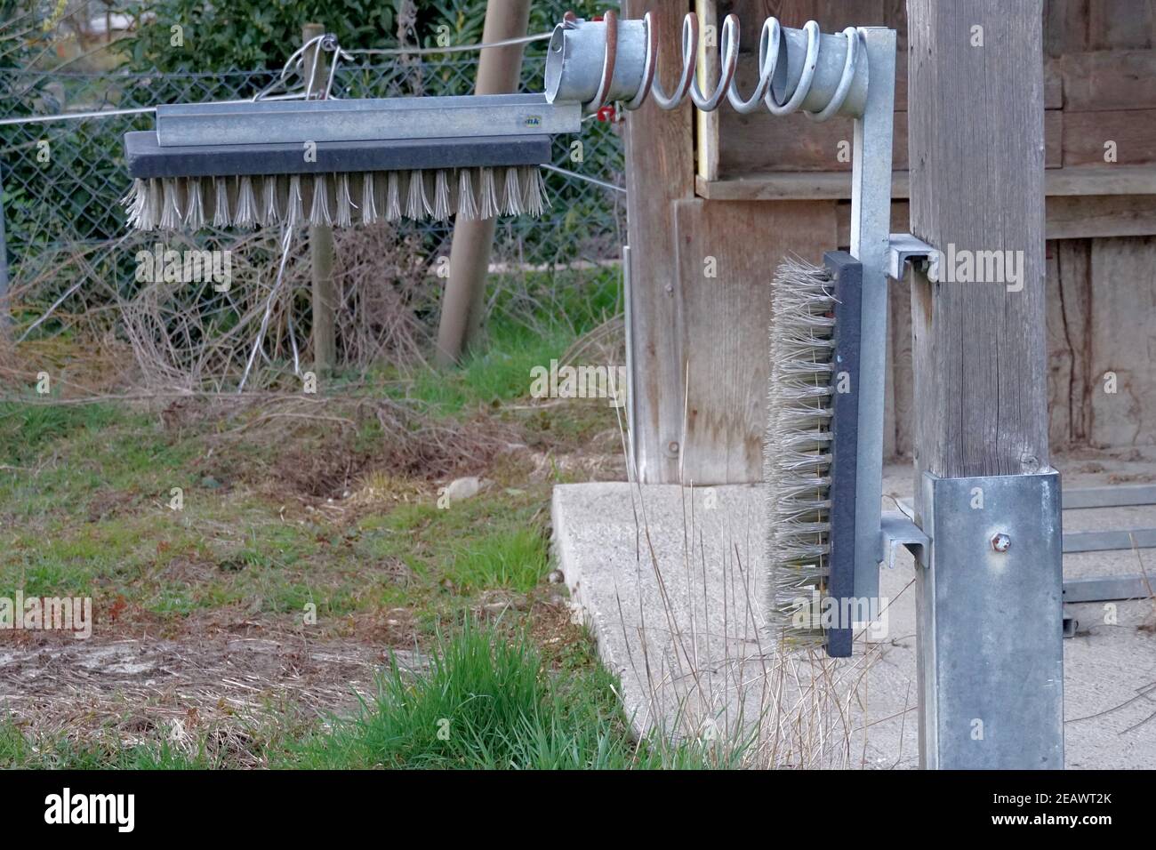 Two brushes for cleaning of cows on the farm. They are arranged in right angle to clean the back and a flank of an animal at the same time. Stock Photo