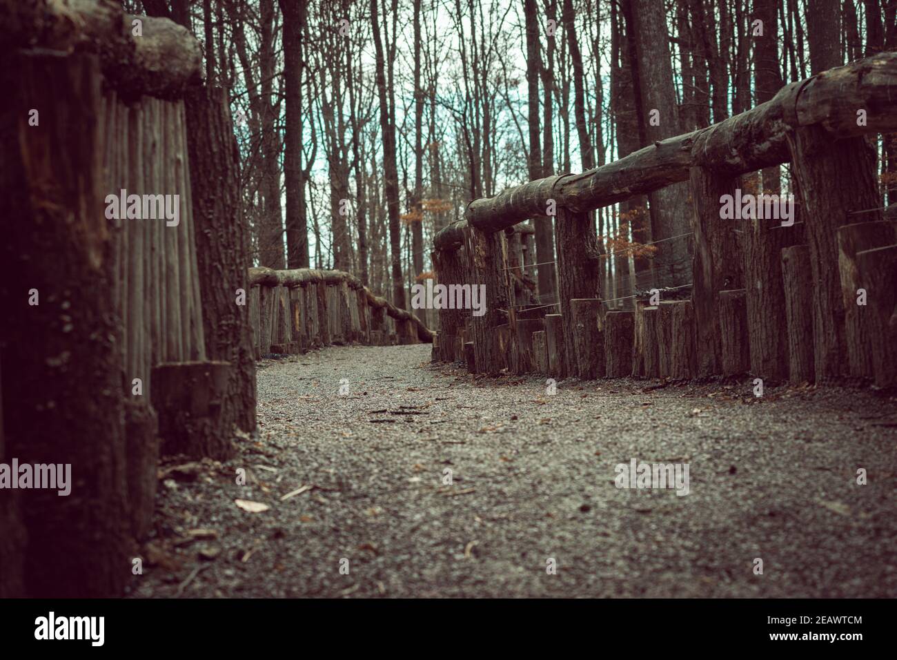Low angle shot of a gravel pathway surrounded by wooden fences in the ...