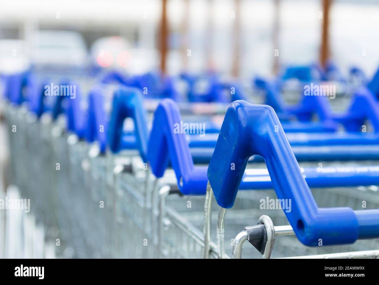 Disinfected shopping carts ready for customers. Shopping carts in the car park ready for use