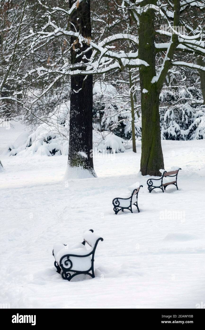 Park benches snow covered Stock Photo