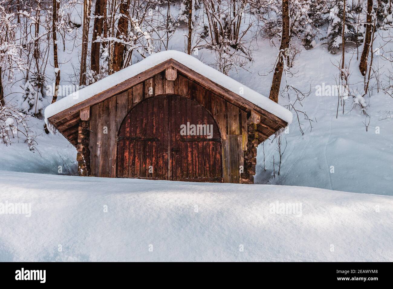 Wooden hut in a forest with snow covered trees in the alps Stock Photo ...