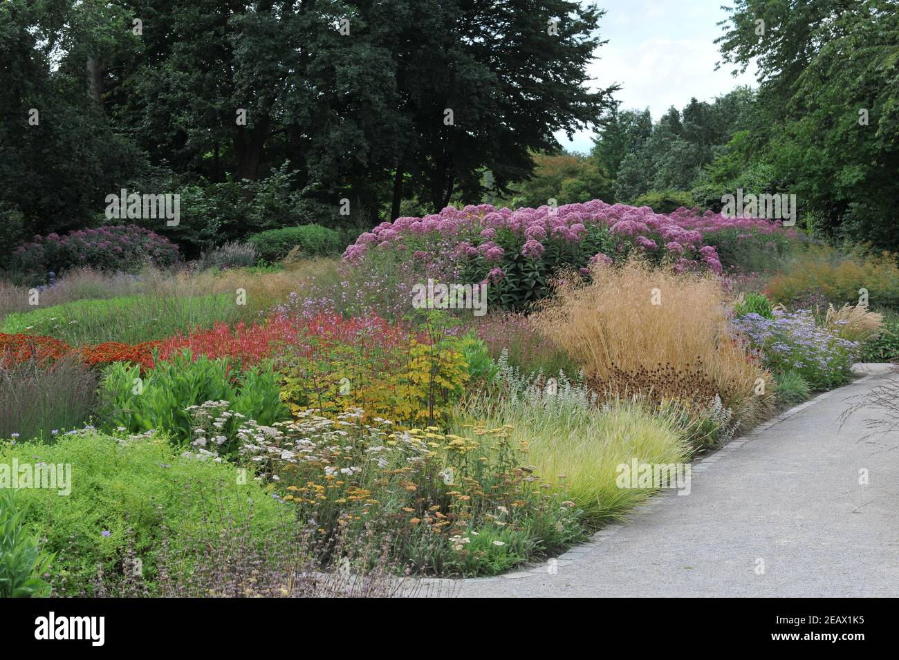 HAMM, GERMANY - 15 AUGUST 2015: Planting in perennial meadow style ...