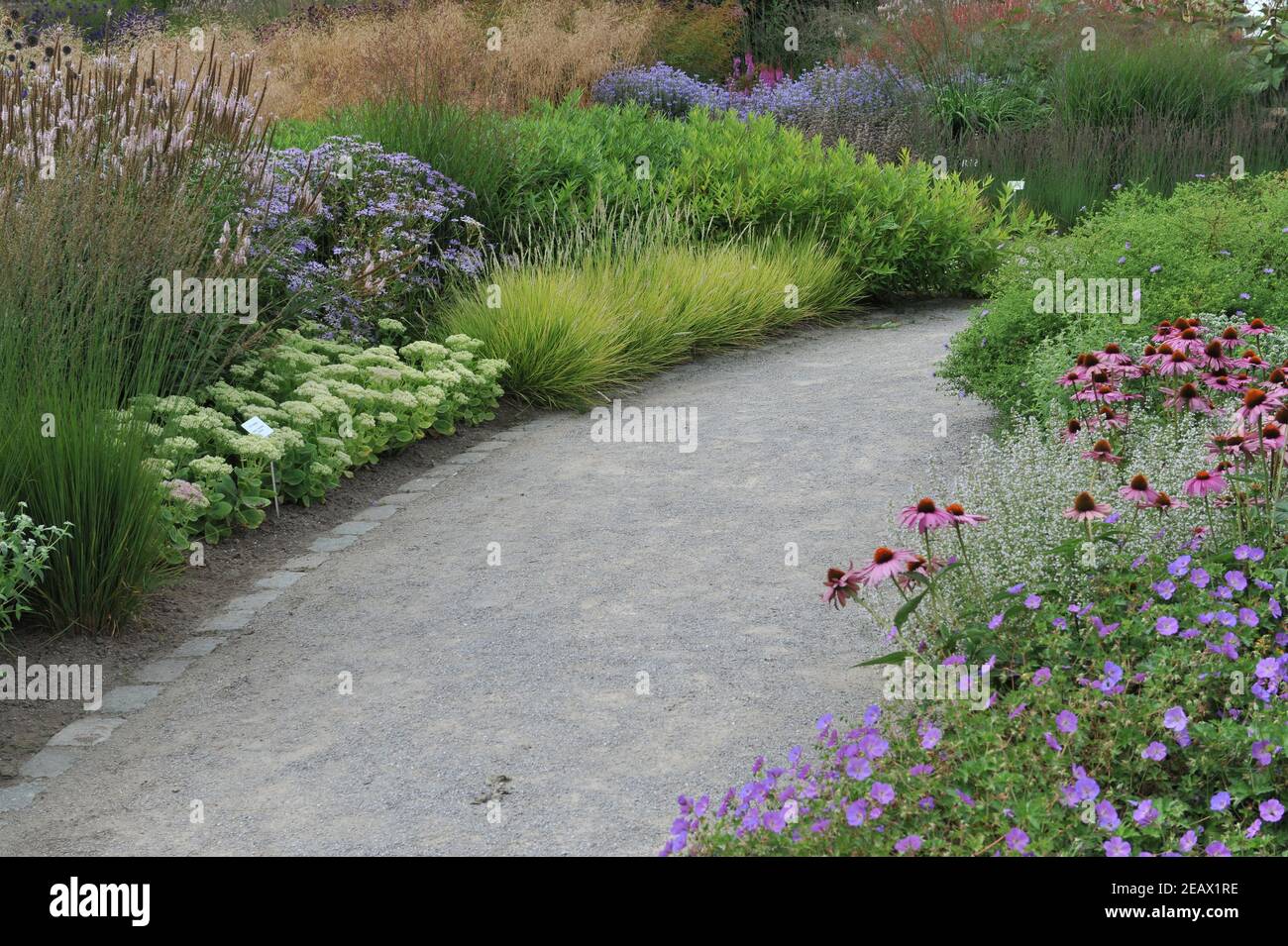 HAMM, GERMANY - 15 AUGUST 2015: Planting in perennial meadow style designed by Piet Oudolf in the Garden Art garden in the public park Maximilianpark Stock Photo