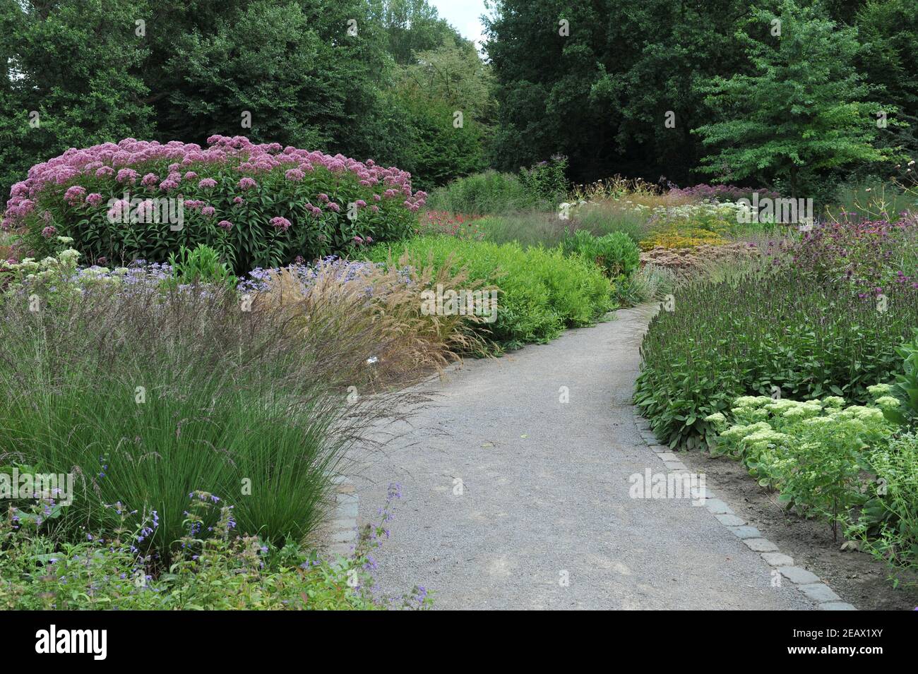 HAMM, GERMANY - 15 AUGUST 2015: Planting in perennial meadow style designed by Piet Oudolf in the Garden Art garden in the public park Maximilianpark Stock Photo