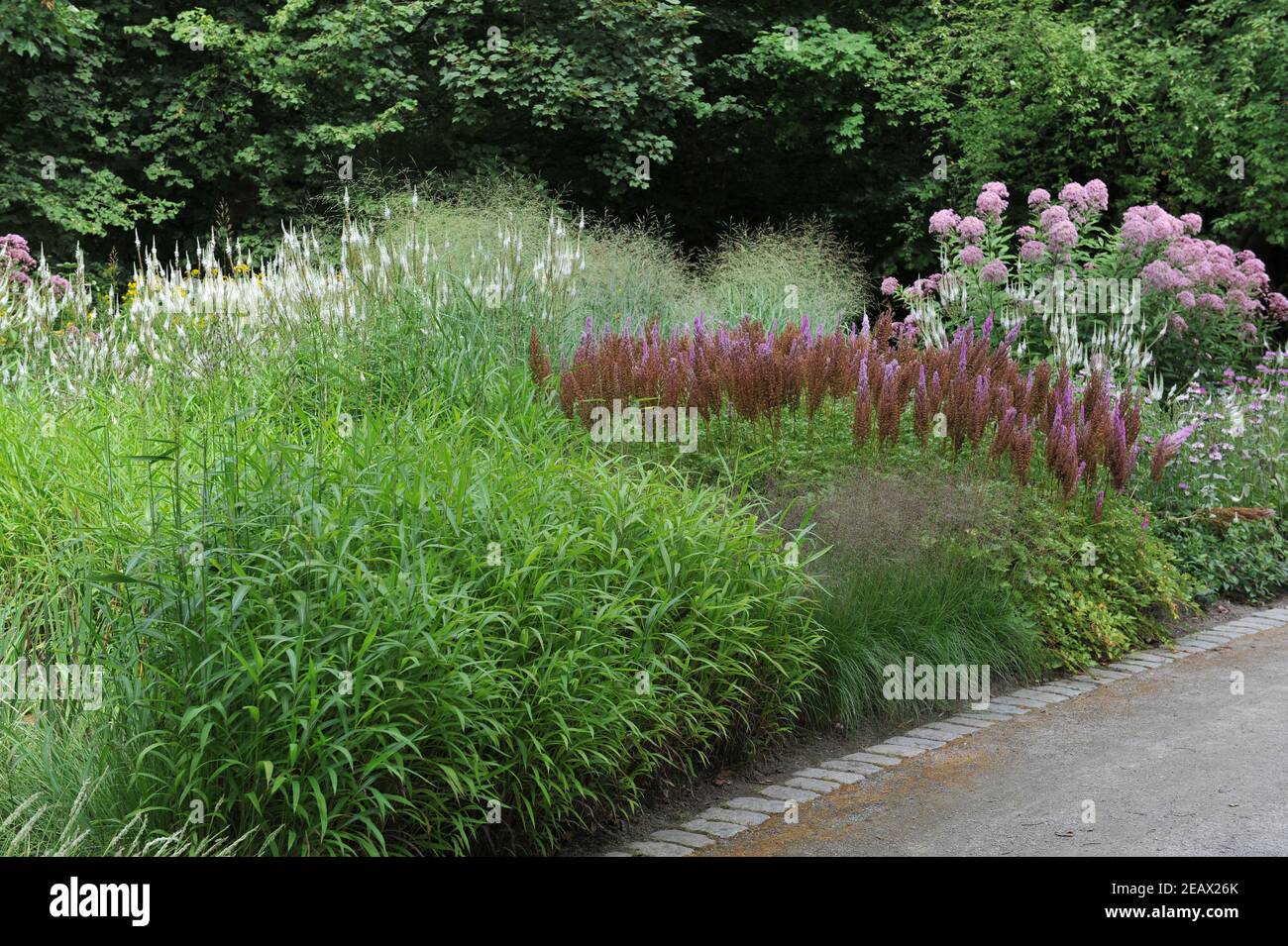 HAMM, GERMANY - 15 AUGUST 2015: Planting in perennial meadow style designed by Piet Oudolf in the Nature Designs garden in the Maximilianpark Stock Photo